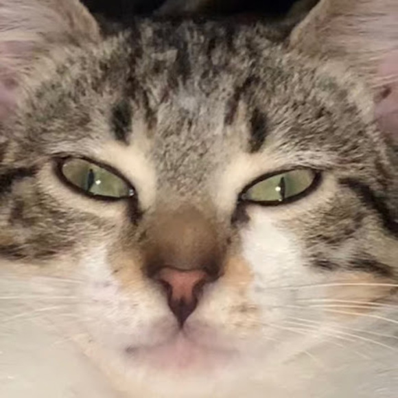 Meet your Posher, Nelly - Picture 1 of 1